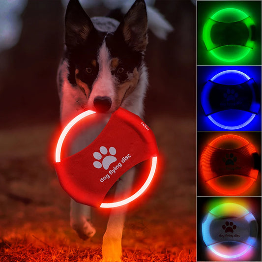 GlowFetch Disc