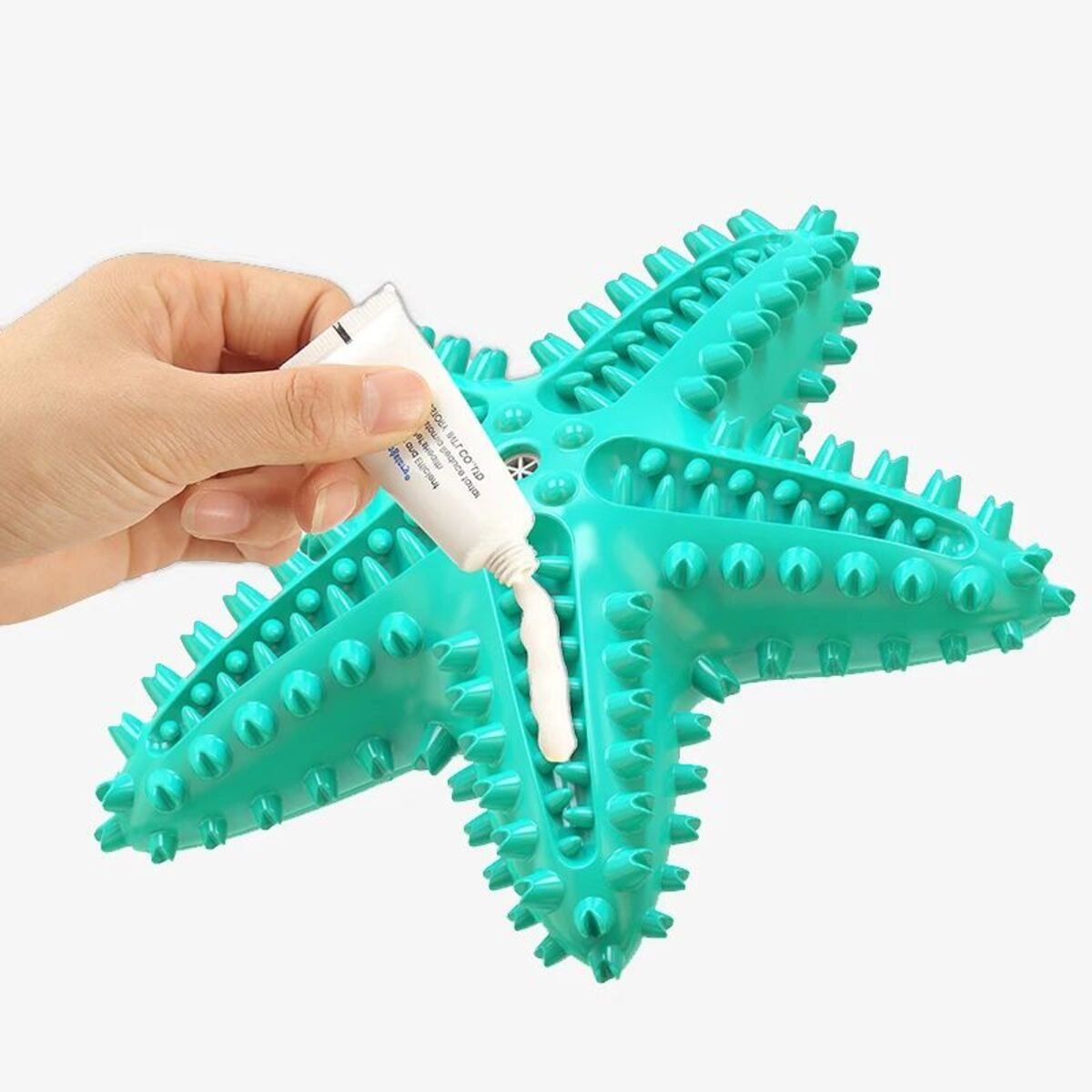 ChompStar Toy