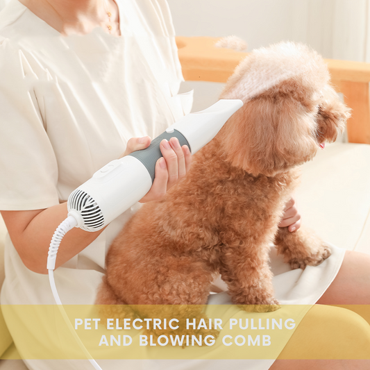 Pet Electric Hair Pulling And Blowing Comb